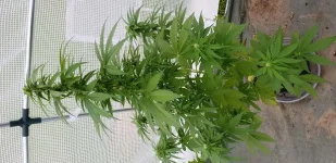 20180607_090430.webp