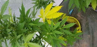 20180607_084922.webp