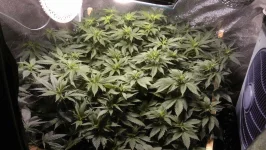 IMAG02.webp