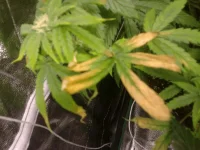 02052013154.webp