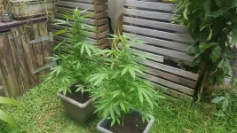 20180701_122148.webp