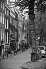 velo amsterdam day_2.webp