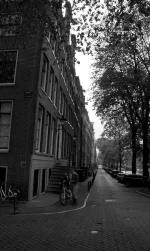 amsterdam daylight walk_1.webp