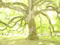 DSC01431.webp
