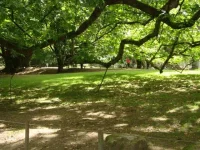 DSC01432.webp
