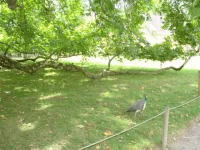 DSC01435.webp