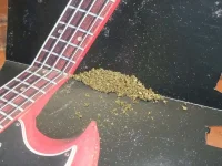 DSCF4378.webp