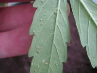 IMG_0172.webp IMG_0172.webp