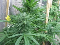 IMG_0176.webp IMG_0176.webp
