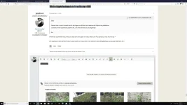 bug !!.webp