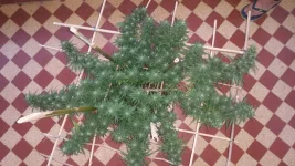 20180824_180919.webp