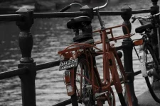 velo amsterdam day.webp