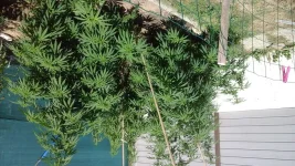 20180831_154401.webp