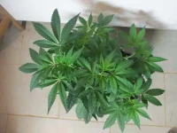 IMG_1842.webp IMG_1842.webp