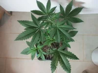 IMG_1844.webp IMG_1844.webp