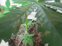 IMG_1846.webp IMG_1846.webp