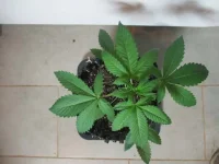 IMG_1852.webp IMG_1852.webp