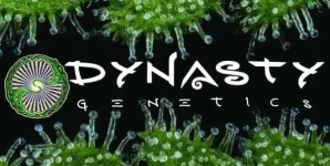 dynasty-geneticsCW.webp