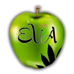 EvaSeeds.webp