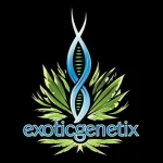 ExoticGenetix.webp