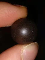 Sorbet Hash  (1) (FILEminimizer).webp