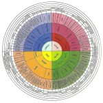 Cannabis-Terpenes-and-Training.webp