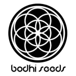 BodhiSeeds.webp