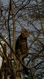 DSC02523.webp