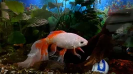 DSC02492.webp