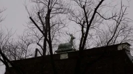 DSC02167.webp