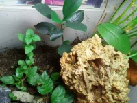 IMG_20100102_002910.webp