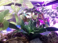 IMG_20100102_003000.webp