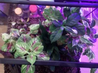 IMG_20100102_003035.webp