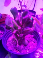 IMG_20100102_003055.webp