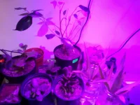 IMG_20100102_003140.webp