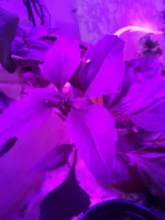 IMG_20100102_003212.webp