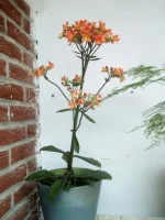 IMG_20100102_003911.webp