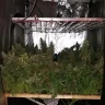 GanJa_Bat