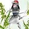 Seth_shaar