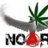 NoarDesir