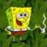 DAMSBUD