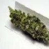weed55