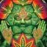 nicebud