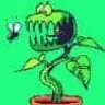 afganica