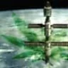 Jack_Haze