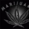 cannabis83