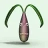 bibac