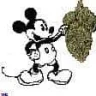 Stoney_Samy