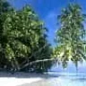 Almario