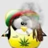 Champot